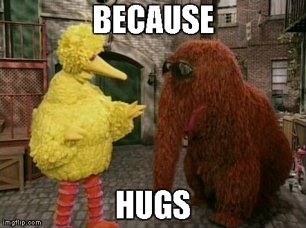 Big Bird And Snuffy Meme | BECAUSE HUGS | image tagged in memes,big bird and snuffy | made w/ Imgflip meme maker