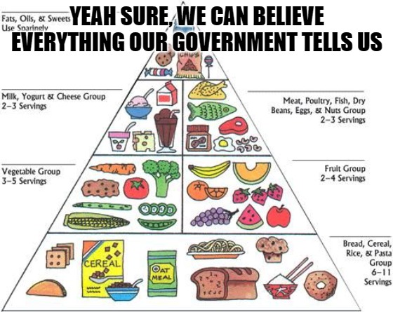 Government never lies | YEAH SURE, WE CAN BELIEVE EVERYTHING OUR GOVERNMENT TELLS US | image tagged in food pyramid,government corruption,big government | made w/ Imgflip meme maker