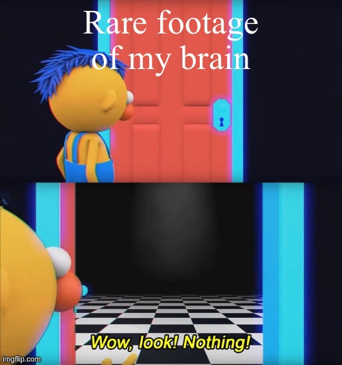 Wow, look! Nothing! | Rare footage of my brain | image tagged in wow look nothing | made w/ Imgflip meme maker