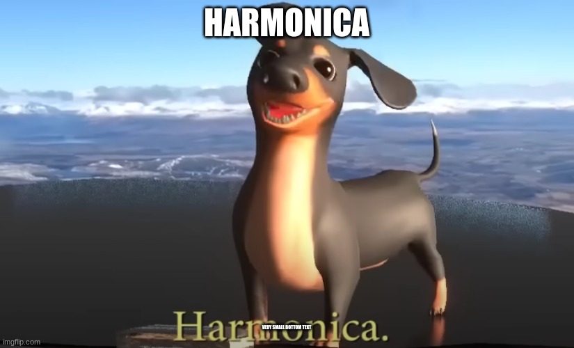 harmonica | HARMONICA; VERY SMALL BOTTOM TEXT | image tagged in memes,the dog of wisdom,2 | made w/ Imgflip meme maker