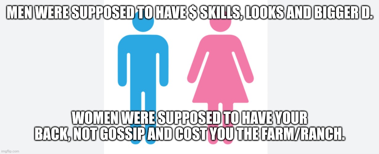 Roles | MEN WERE SUPPOSED TO HAVE $ SKILLS, LOOKS AND BIGGER D. WOMEN WERE SUPPOSED TO HAVE YOUR BACK, NOT GOSSIP AND COST YOU THE FARM/RANCH. | image tagged in gender | made w/ Imgflip meme maker