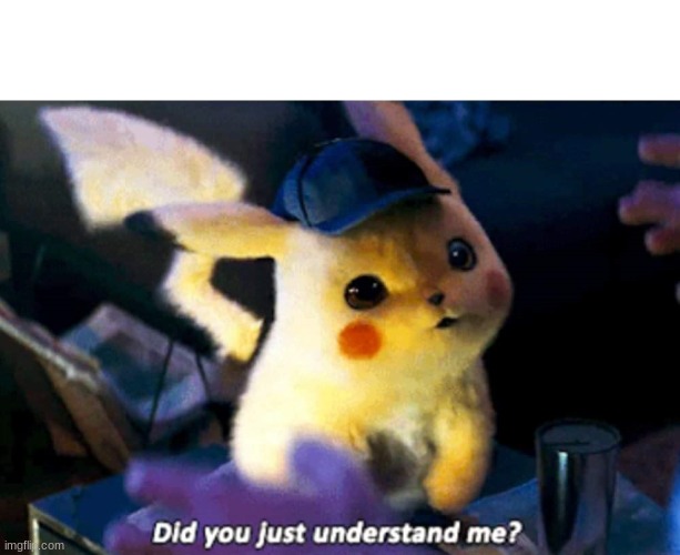 Did you just understand me? | image tagged in did you just understand me | made w/ Imgflip meme maker