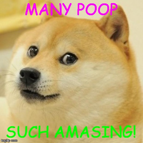 Doge Meme | MANY POOP SUCH AMASING! | image tagged in memes,doge | made w/ Imgflip meme maker