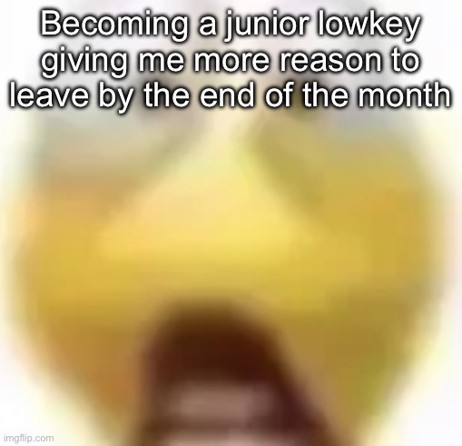Shocked | Becoming a junior lowkey giving me more reason to leave by the end of the month | image tagged in shocked | made w/ Imgflip meme maker