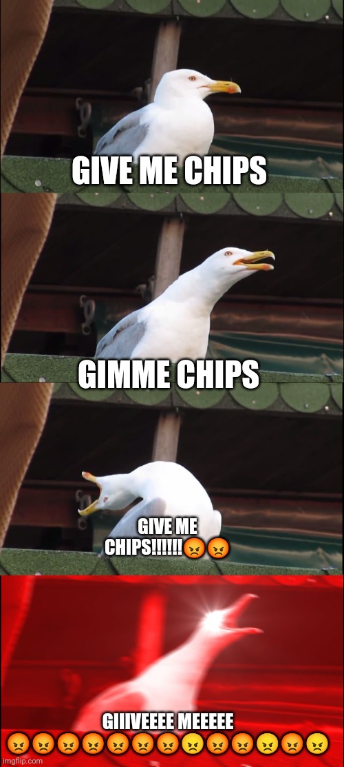 Inhaling Seagull | GIVE ME CHIPS; GIMME CHIPS; GIVE ME CHIPS!!!!!!😡😡; GIIIVEEEE MEEEEE 😡😡😡😡😡😡😡😠😡😡😠😡😠 | image tagged in memes,inhaling seagull | made w/ Imgflip meme maker