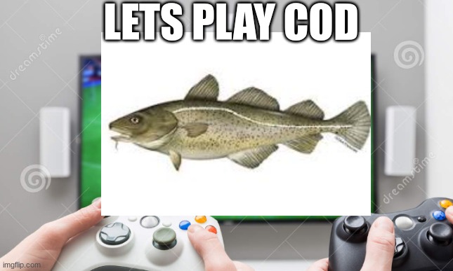 Lets play COD | LETS PLAY COD | image tagged in cod,video games,funny,fishing | made w/ Imgflip meme maker