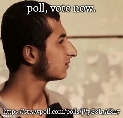 Nineveh Youth Stare | poll, vote now. https://strawpoll.com/polls/jVyG8L3AKn7 | image tagged in wha | made w/ Imgflip meme maker