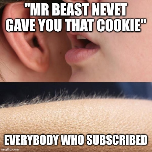Whisper and Goosebumps | "MR BEAST NEVET GAVE YOU THAT COOKIE"; EVERYBODY WHO SUBSCRIBED | image tagged in whisper and goosebumps | made w/ Imgflip meme maker