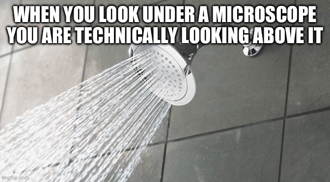 Facts | WHEN YOU LOOK UNDER A MICROSCOPE YOU ARE TECHNICALLY LOOKING ABOVE IT | image tagged in shower thoughts | made w/ Imgflip meme maker