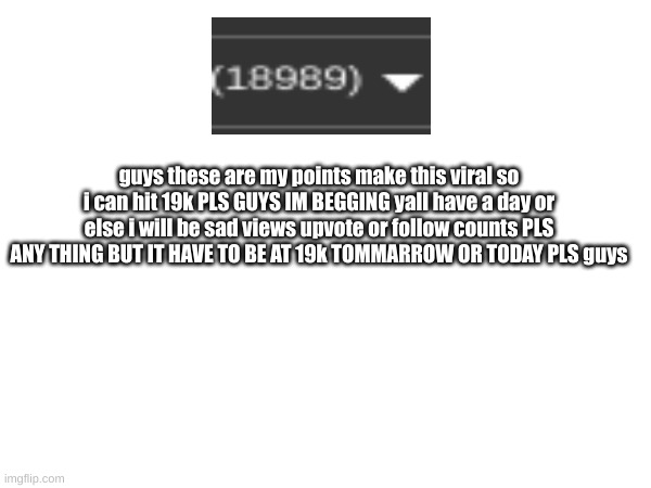 guys these are my points make this viral so i can hit 19k PLS GUYS IM BEGGING yall have a day or else i will be sad views upvote or follow counts PLS ANY THING BUT IT HAVE TO BE AT 19k TOMMARROW OR TODAY PLS guys | image tagged in pls | made w/ Imgflip meme maker