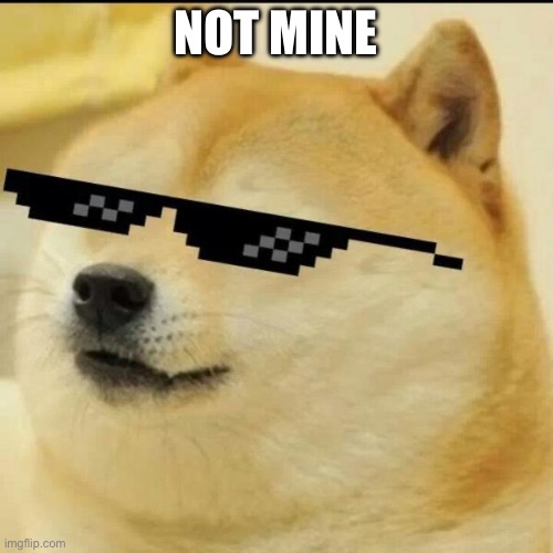 Sunglass Doge | NOT MINE | image tagged in sunglass doge | made w/ Imgflip meme maker