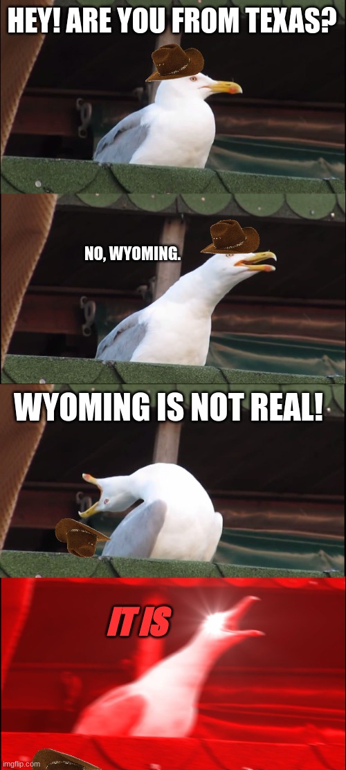 wyoming is real | HEY! ARE YOU FROM TEXAS? NO, WYOMING. WYOMING IS NOT REAL! IT IS | image tagged in memes,inhaling seagull,wyoming | made w/ Imgflip meme maker