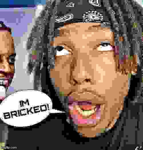 IM BRICKED! | image tagged in im bricked | made w/ Imgflip meme maker