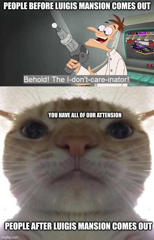 true | PEOPLE BEFORE LUIGIS MANSION COMES OUT; YOU HAVE ALL OF OUR ATTENSION; PEOPLE AFTER LUIGIS MANSION COMES OUT | image tagged in the i don't care inator,staring cat/gusic | made w/ Imgflip meme maker