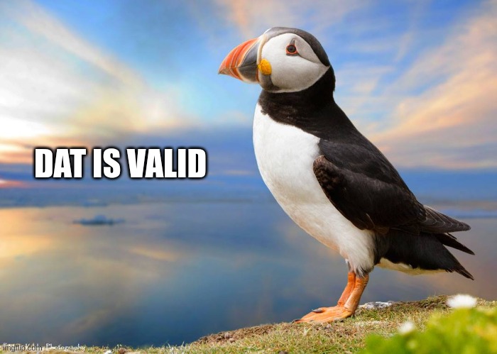 Valid opinion puffin | DAT IS VALID | image tagged in valid opinion puffin | made w/ Imgflip meme maker