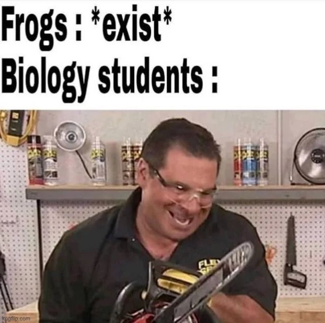 image tagged in memes,funny | made w/ Imgflip meme maker