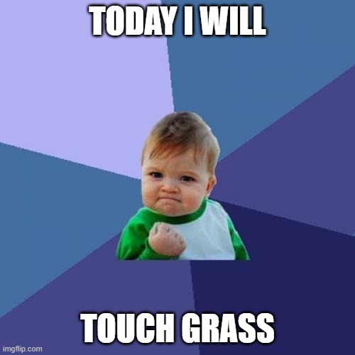 Today I will touch grass | TODAY I WILL; TOUCH GRASS | image tagged in memes,success kid | made w/ Imgflip meme maker