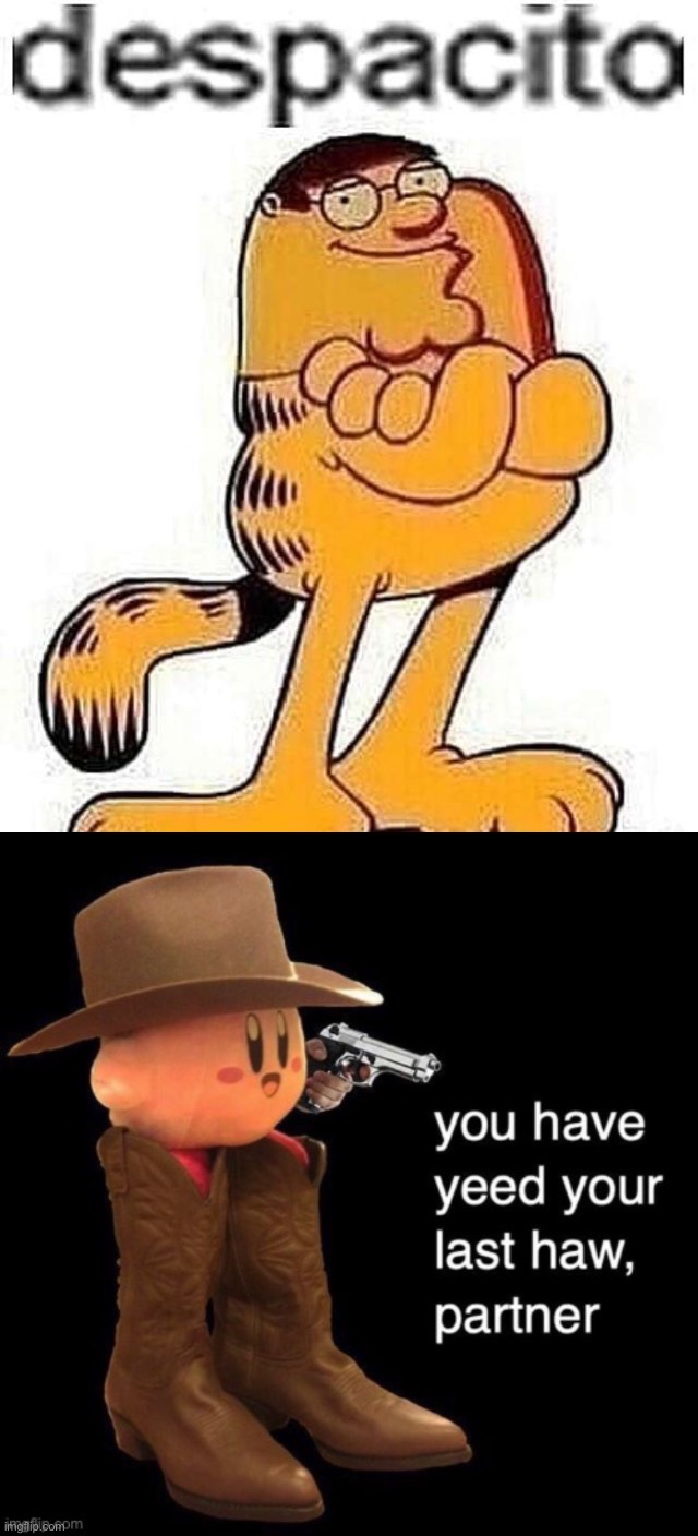 image tagged in kirby you have yee-ed your last haw,memes,funny,cursed image | made w/ Imgflip meme maker