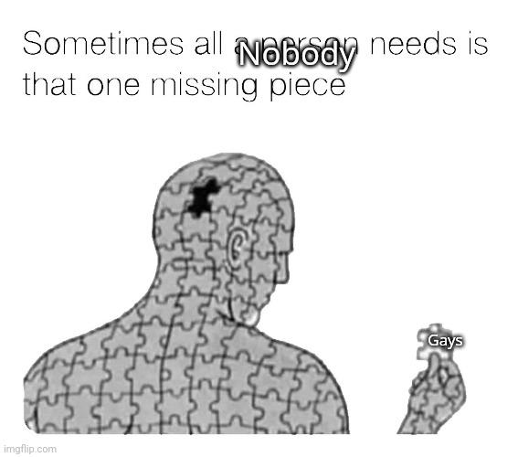 A | Nobody; Gays | image tagged in that one missing piece | made w/ Imgflip meme maker