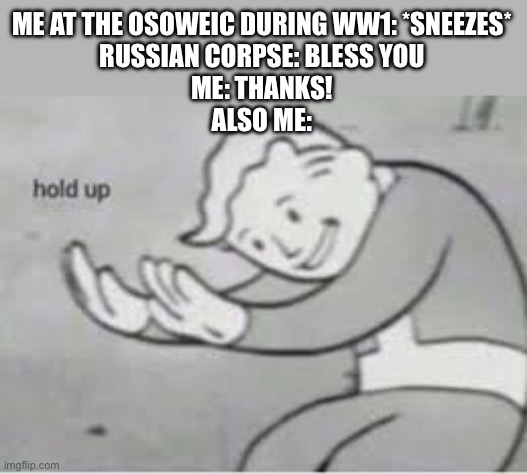 Wait a sec | ME AT THE OSOWEIC DURING WW1: *SNEEZES*
RUSSIAN CORPSE: BLESS YOU
ME: THANKS!
ALSO ME: | image tagged in hol up | made w/ Imgflip meme maker