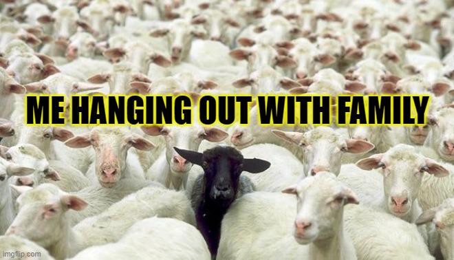 Me hanging out with family - Black sheep | ME HANGING OUT WITH FAMILY | image tagged in funny memes,black sheep,outcast,black sheep of the family | made w/ Imgflip meme maker