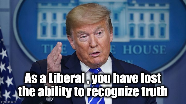 Wave it off | As a Liberal , you have lost the ability to recognize truth | image tagged in wave it off | made w/ Imgflip meme maker
