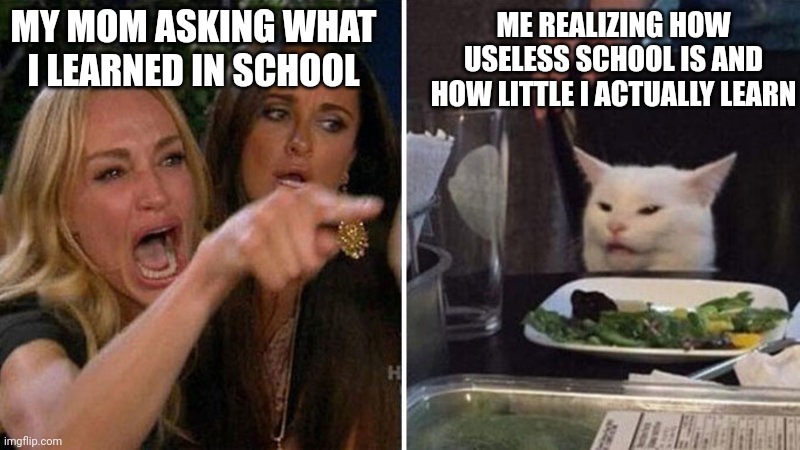 Woman yelling at white cat | ME REALIZING HOW USELESS SCHOOL IS AND HOW LITTLE I ACTUALLY LEARN; MY MOM ASKING WHAT I LEARNED IN SCHOOL | image tagged in woman yelling at white cat,school | made w/ Imgflip meme maker