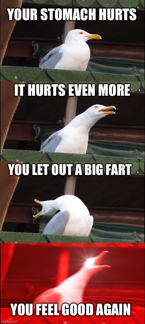 Imagine in public- | YOUR STOMACH HURTS; IT HURTS EVEN MORE; YOU LET OUT A BIG FART; YOU FEEL GOOD AGAIN | image tagged in memes,inhaling seagull | made w/ Imgflip meme maker