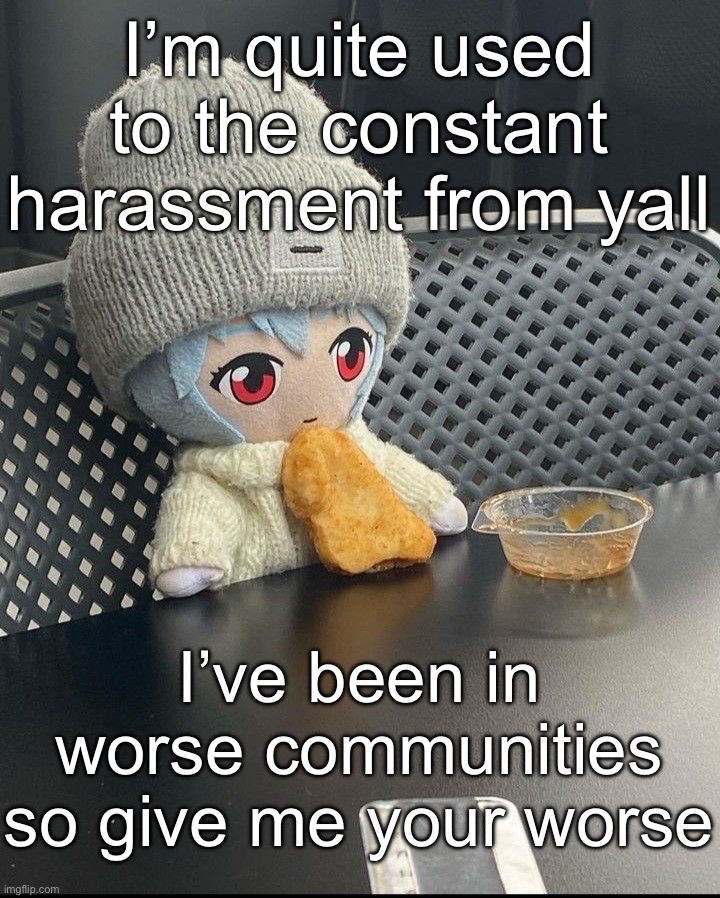 Rei | I’m quite used to the constant harassment from yall; I’ve been in worse communities so give me your worse | image tagged in rei | made w/ Imgflip meme maker