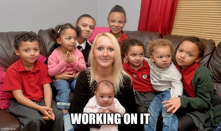 Single Mom With Kids | WORKING ON IT | image tagged in single mom with kids | made w/ Imgflip meme maker