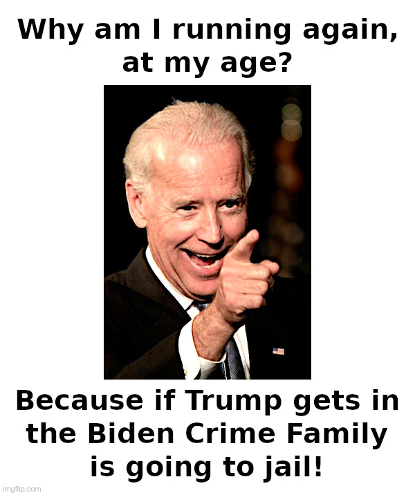 Why Biden Is Running Again | image tagged in joe biden,biden crime family,made in china,elite capture,government corruption | made w/ Imgflip meme maker