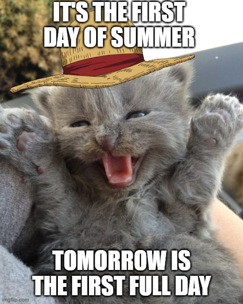 IT"S SUMMER :DDD | IT'S THE FIRST DAY OF SUMMER; TOMORROW IS THE FIRST FULL DAY | image tagged in yay kitty | made w/ Imgflip meme maker
