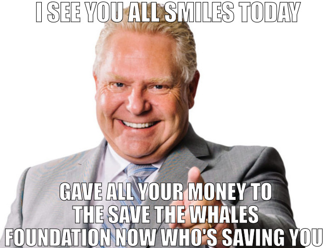 WHAT HAPPENED TO MY GOLDEN PARACHUTE! | I SEE YOU ALL SMILES TODAY; GAVE ALL YOUR MONEY TO THE SAVE THE WHALES FOUNDATION NOW WHO'S SAVING YOU | image tagged in doug ford,meme | made w/ Imgflip meme maker