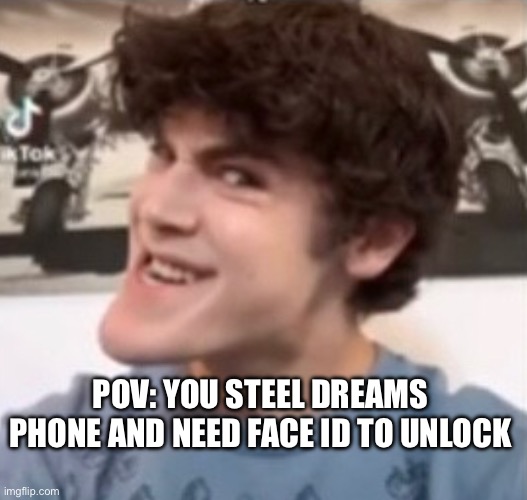 Dream Face ID | POV: YOU STEEL DREAMS PHONE AND NEED FACE ID TO UNLOCK | image tagged in funny | made w/ Imgflip meme maker