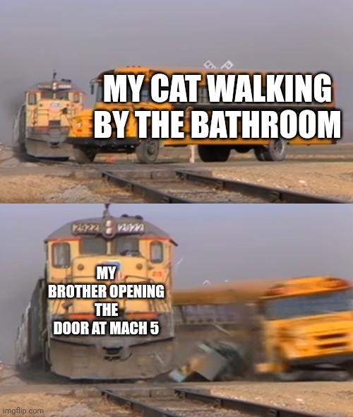 This actually happened lol | MY CAT WALKING BY THE BATHROOM; MY BROTHER OPENING THE DOOR AT MACH 5 | image tagged in a train hitting a school bus,funny,true,cat | made w/ Imgflip meme maker