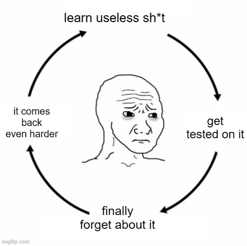 Sad wojak cycle | learn useless sh*t get tested on it finally forget about it it comes back even harder | image tagged in sad wojak cycle | made w/ Imgflip meme maker