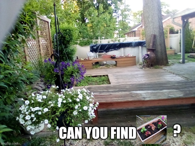 the can you find thing is an extra challenge btw | CAN YOU FIND; ? | made w/ Imgflip meme maker