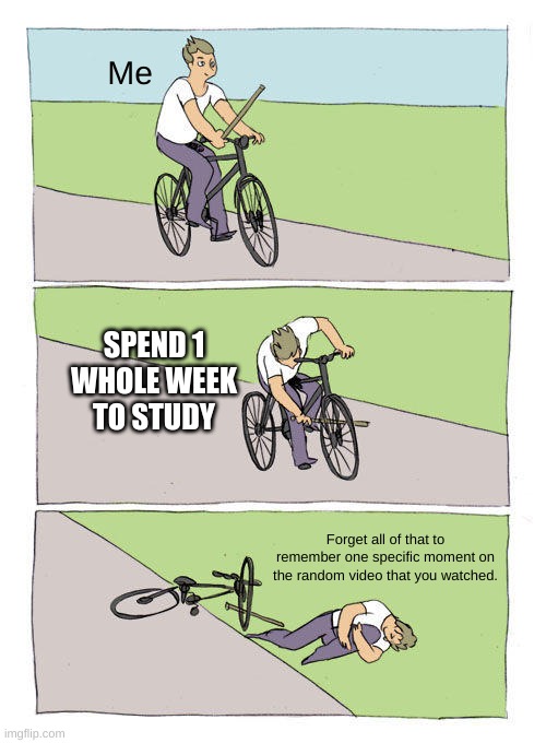 It a good trade, i guess | Me; SPEND 1 WHOLE WEEK TO STUDY; Forget all of that to remember one specific moment on the random video that you watched. | image tagged in memes,bike fall | made w/ Imgflip meme maker