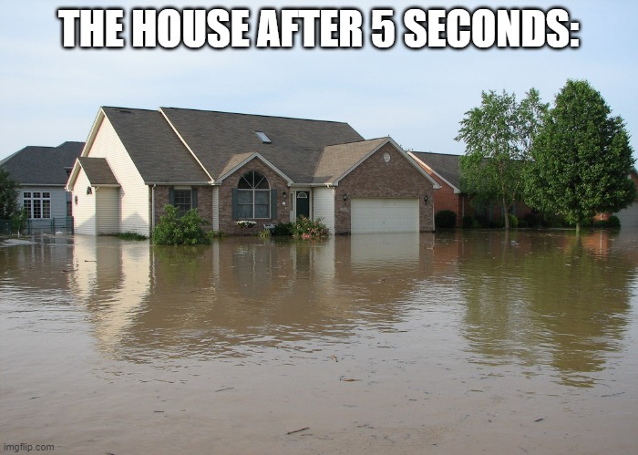 THE HOUSE AFTER 5 SECONDS: | image tagged in flooded house | made w/ Imgflip meme maker