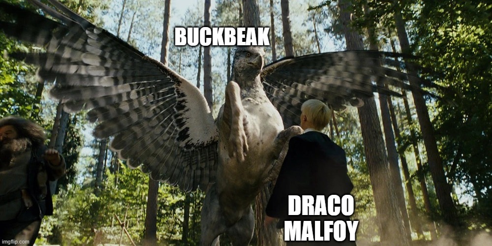 Buckbeak attacking Draco Malfoy | BUCKBEAK; DRACO MALFOY | image tagged in buckbeak attacking draco malfoy | made w/ Imgflip meme maker