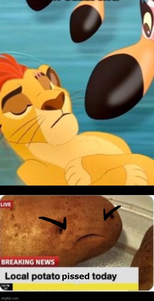 image tagged in kion sleeping for no reason,local potato pissed today | made w/ Imgflip meme maker
