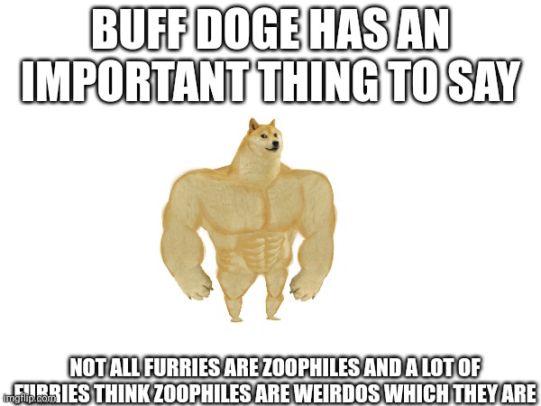 I'm Not trying to start things, just trying to shed some light | BUFF DOGE HAS AN IMPORTANT THING TO SAY; NOT ALL FURRIES ARE ZOOPHILES AND A LOT OF FURRIES THINK ZOOPHILES ARE WEIRDOS WHICH THEY ARE | image tagged in buff doge,furries | made w/ Imgflip meme maker