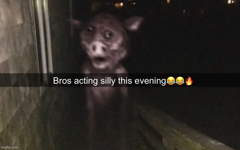 He gets a bit quirky at night | Bros acting silly this evening😂😂🔥 | made w/ Imgflip meme maker