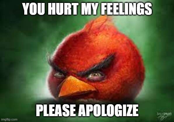 Realistic Red Angry Birds | YOU HURT MY FEELINGS; PLEASE APOLOGIZE | image tagged in realistic red angry birds | made w/ Imgflip meme maker