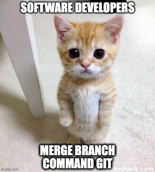 Cute Cat | SOFTWARE DEVELOPERS; MERGE BRANCH COMMAND GIT | image tagged in memes,cute cat,developers memes,git,it meme,software memes | made w/ Imgflip meme maker