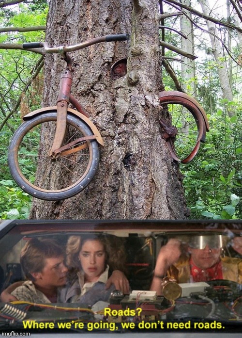 We need trees, not roads | image tagged in bike,back to the future | made w/ Imgflip meme maker