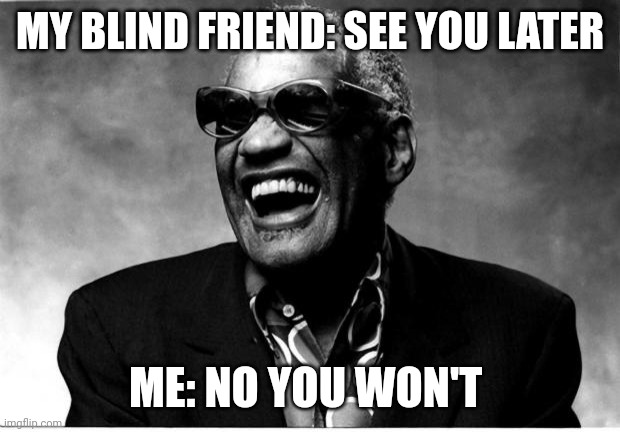 See you later | MY BLIND FRIEND: SEE YOU LATER; ME: NO YOU WON'T | image tagged in ray charles | made w/ Imgflip meme maker