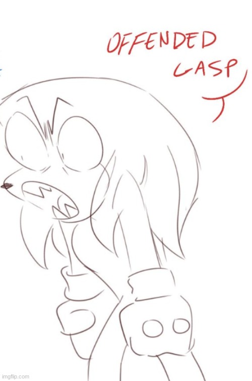 knuckles offended gasp | image tagged in knuckles offended gasp | made w/ Imgflip meme maker