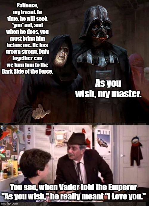 Darth Vader, Star Wars, Princess Bride | Patience, my friend. In time, he will seek *you* out, and when he does, you must bring him before me. He has grown strong. Only together can we turn him to the Dark Side of the Force. As you wish, my master. You see, when Vader told the Emperor "As you wish," he really meant "I Love you." | image tagged in princess bride grandpa | made w/ Imgflip meme maker