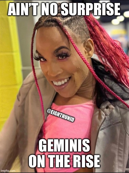 watch out | AIN’T NO SURPRISE; @EIGHTHUNID; GEMINIS ON THE RISE | image tagged in watch out | made w/ Imgflip meme maker